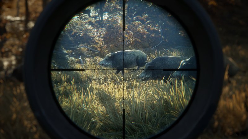 theHunter: Call of the Wild - 2019 Edition