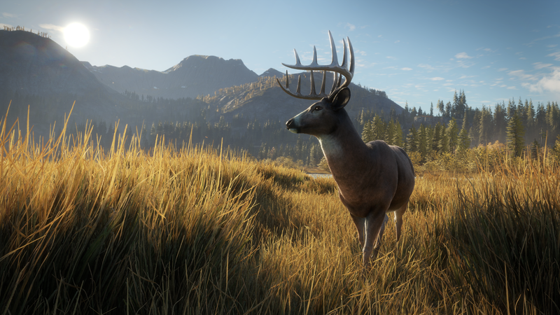 theHunter: Call of the Wild