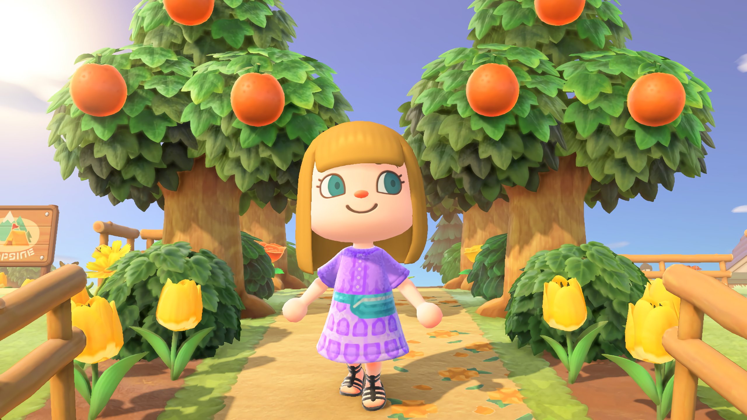 Animal Crossing: New Horizons