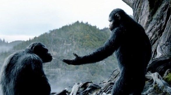 Trailer nostrano per Planet of the Apes: Revolution