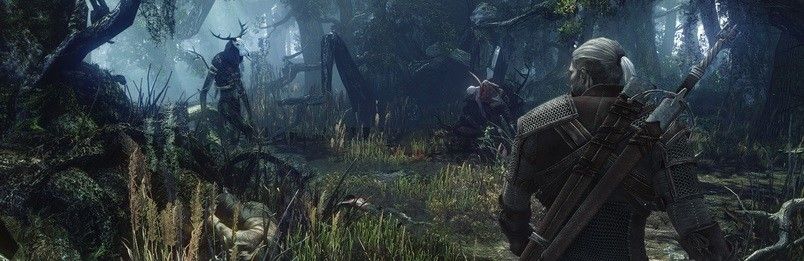 Sulla rete compare il primo glitch per Geralt