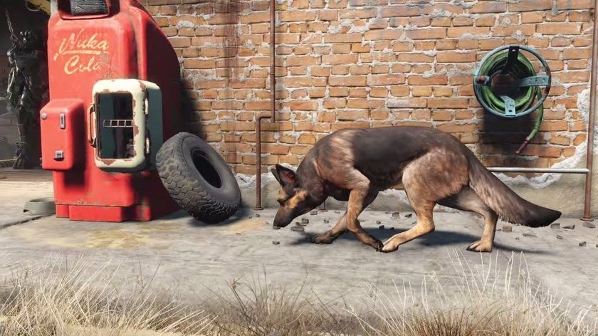 Un modder inserisce il suo cane in Fallout 4