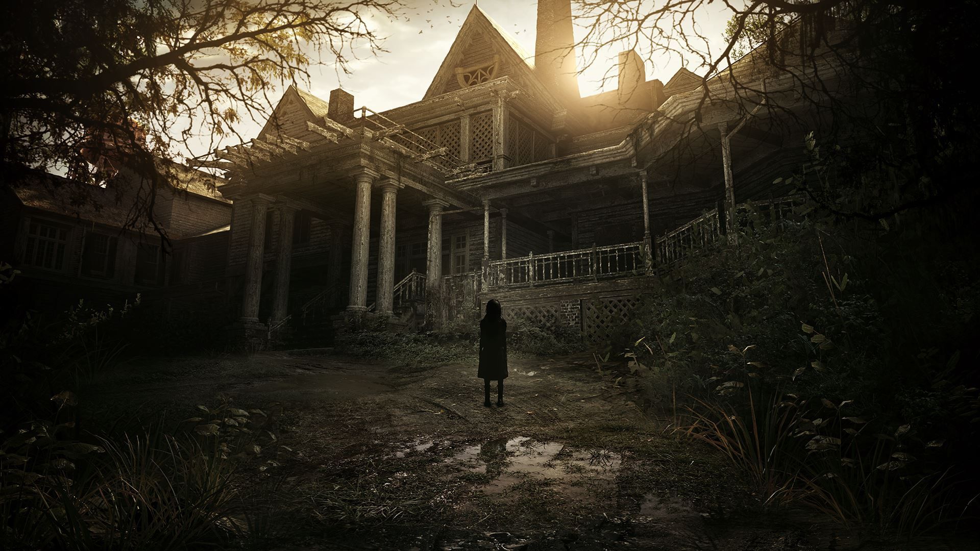 La collector di Resident Evil 7 non conterrà Resident Evil 7