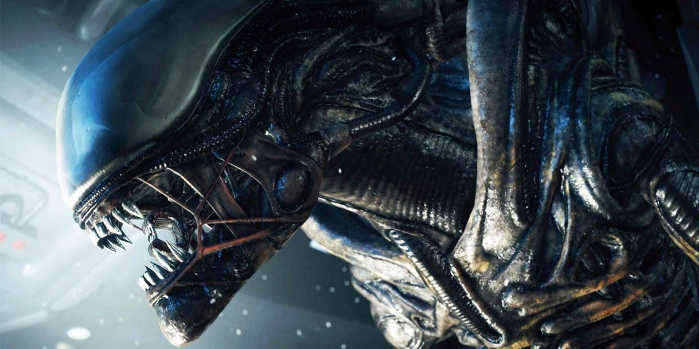 In arrivo un nuovo film su Alien