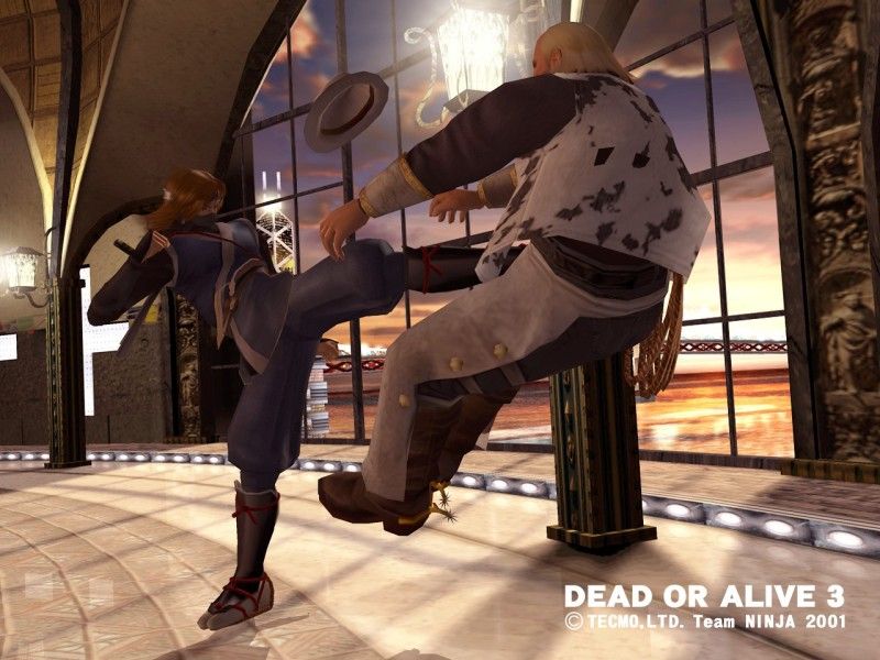 Dead or Alive 3