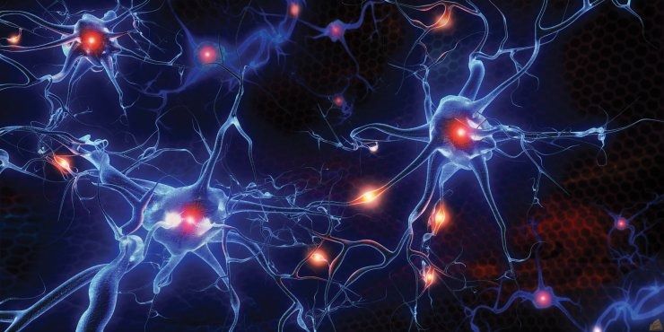 Le cellule cerbrali che controlleremo nel gioco