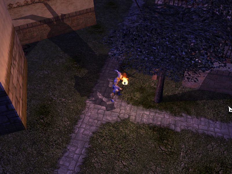 Neverwinter Nights