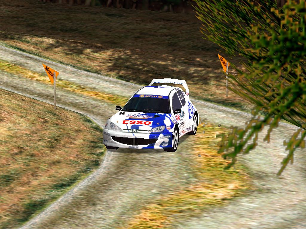 RALLY CHAMPIONSHIP