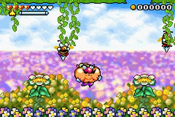 Wario Land for Game Boy Advance