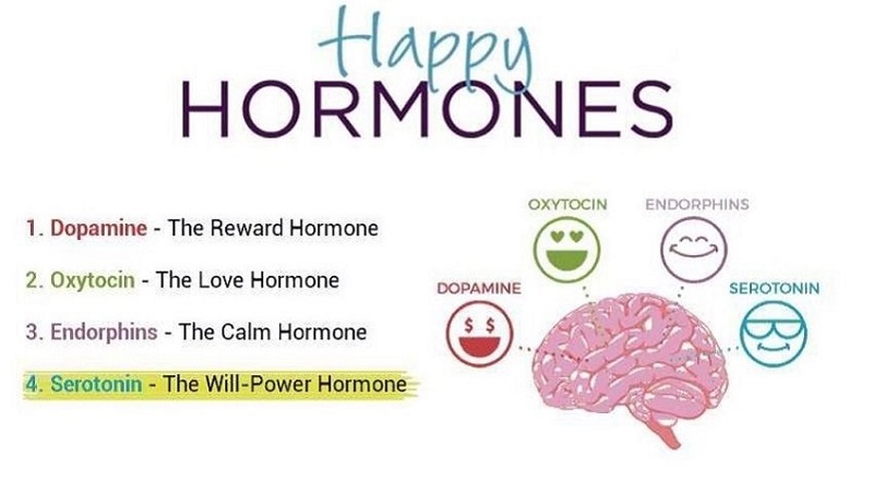 Hormone 