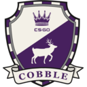 Cobblestone