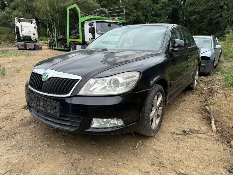 ŠKODA Octavia 1.6 TDI/ 10.12. 2010/ 423.503 km