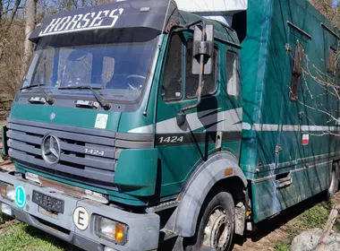 Mercedes-Benz 1424 / 1996 / 319 280 km