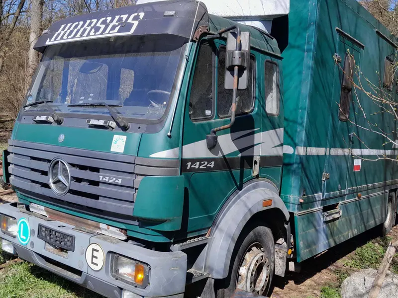 Mercedes-Benz 1424 / 1996 / 319 280 km
