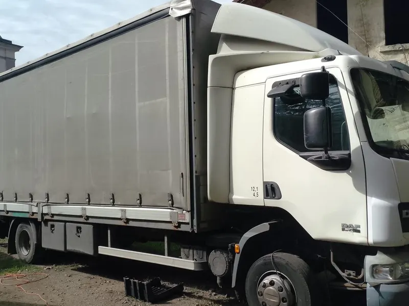 DAF FA LF45.220 / 2008 / 919 200 km