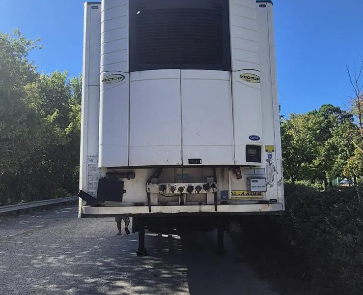 Schmitz Cargobull / 2019