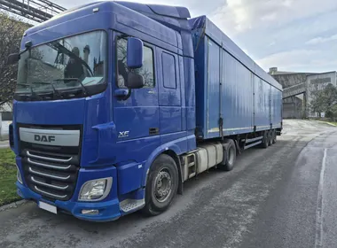 DAF XF 460 FT + REISCH / 2016 / 1 065 000 km