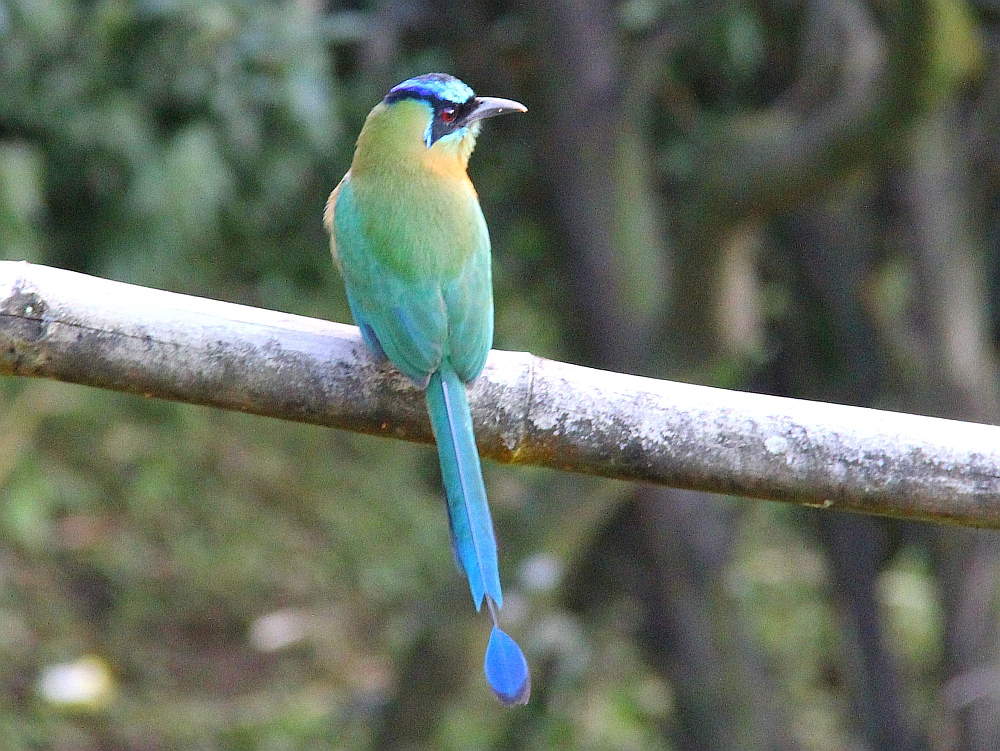 Costa Rica