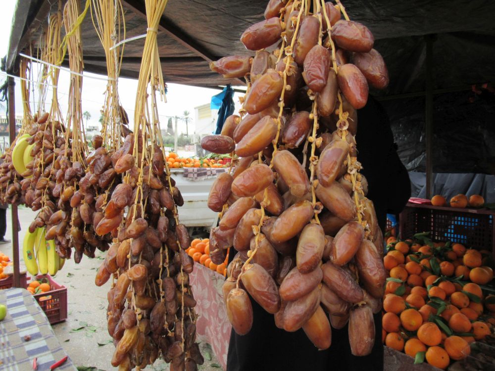 Deglet Nour Dates at Testour Market