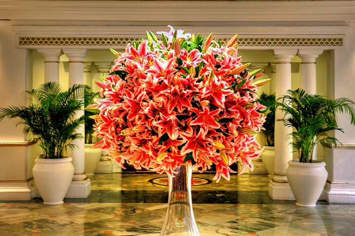 Arabesque Lilies