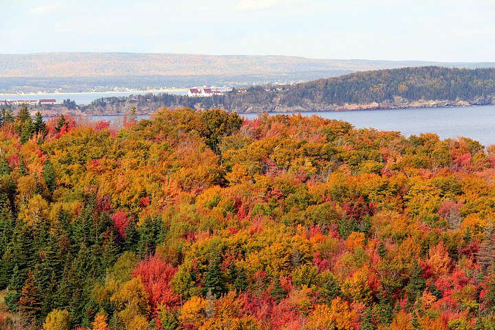 Fall Colors By Ingonish, NS