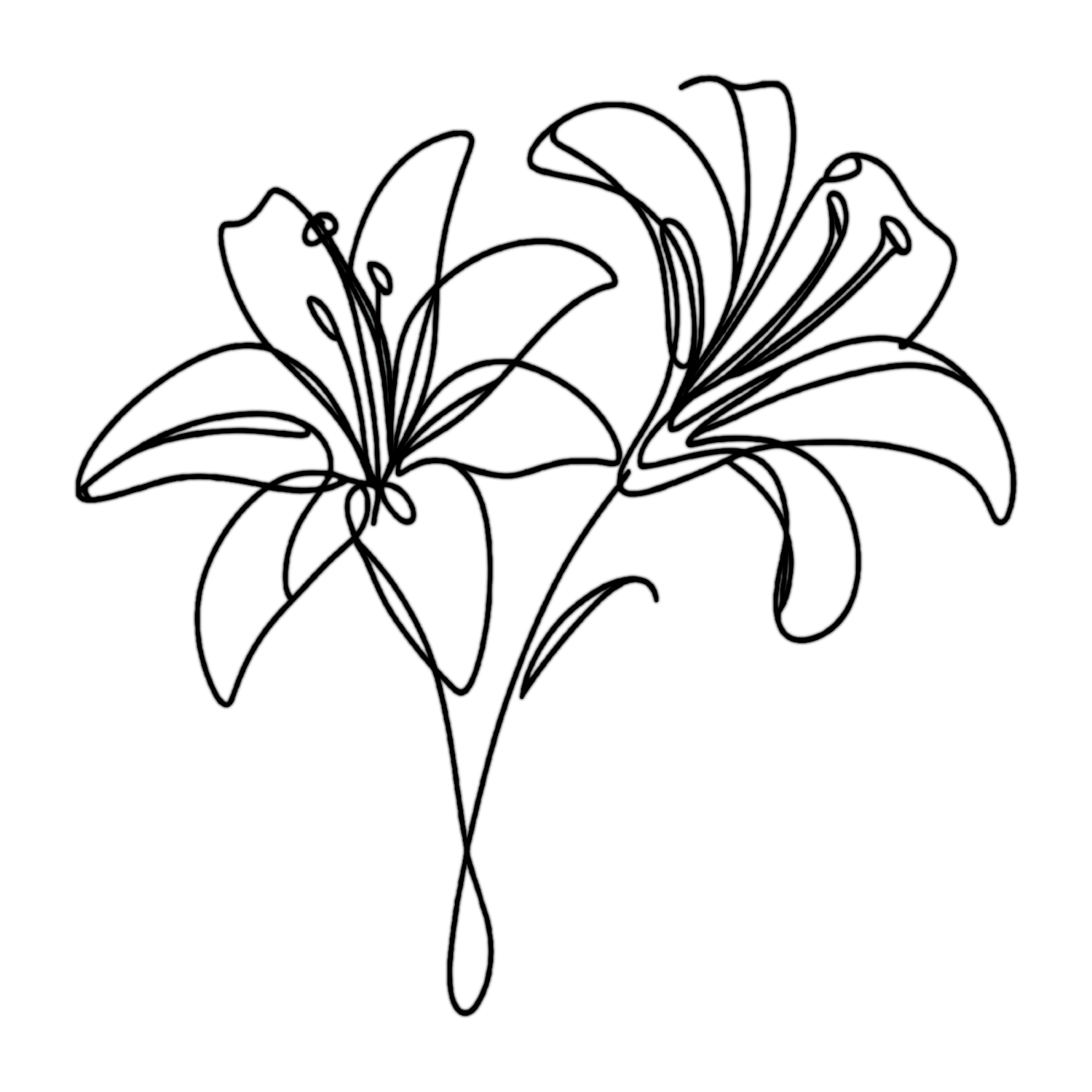 image representing natural burial funeral type