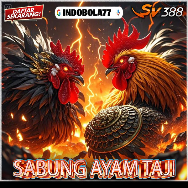 INDOBOLA77