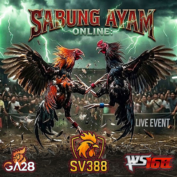 SV388 : Situs Sabung Ayam Online Agen Judi INDOMAX77 Eksklusif Wala Vs Meron