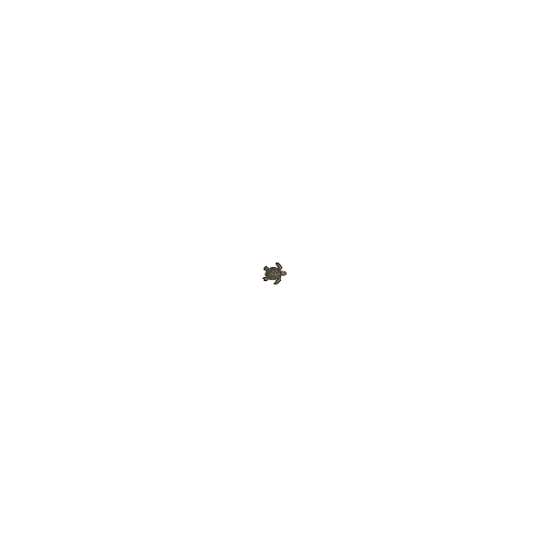 Turtle draws a square