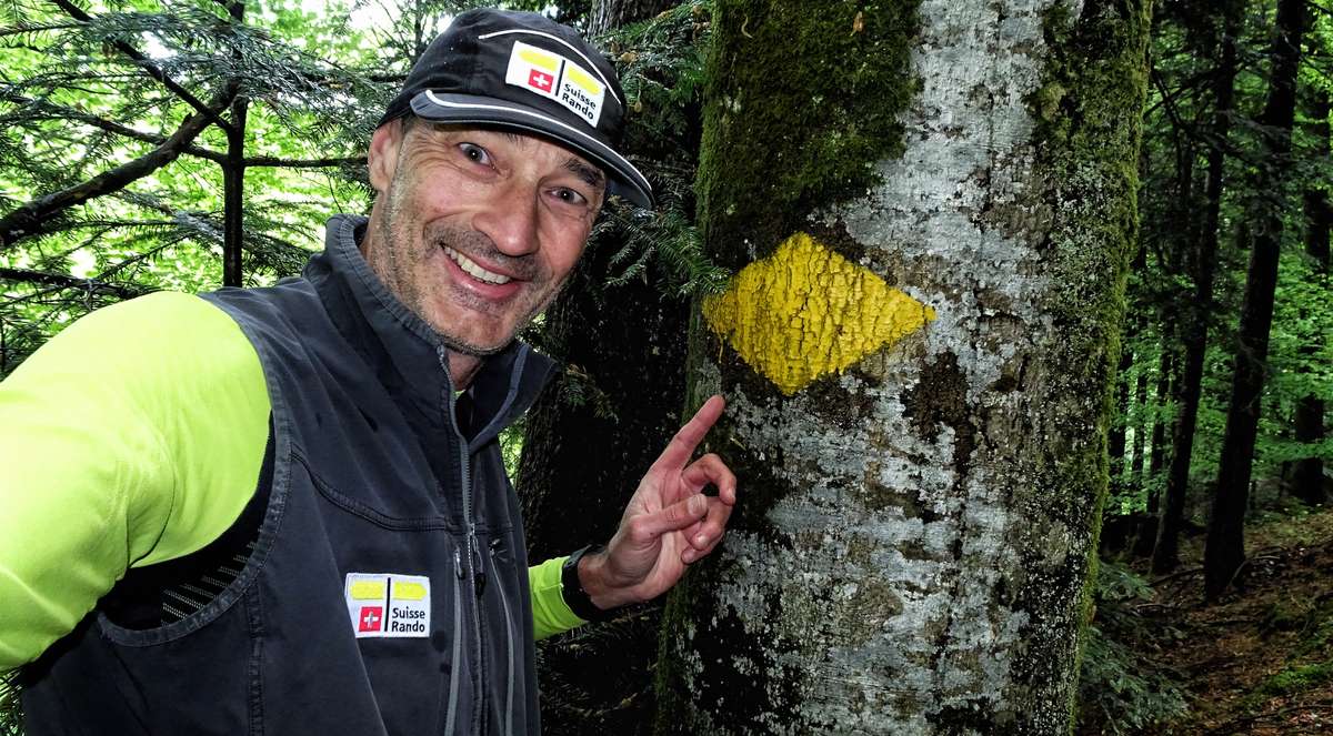 Arc et Forêt, un club tavannois qui a plusieurs cordes à son arc