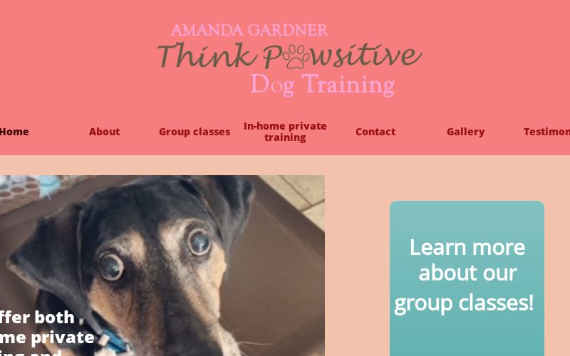 Discover Canine Sports - Think Pawsitive