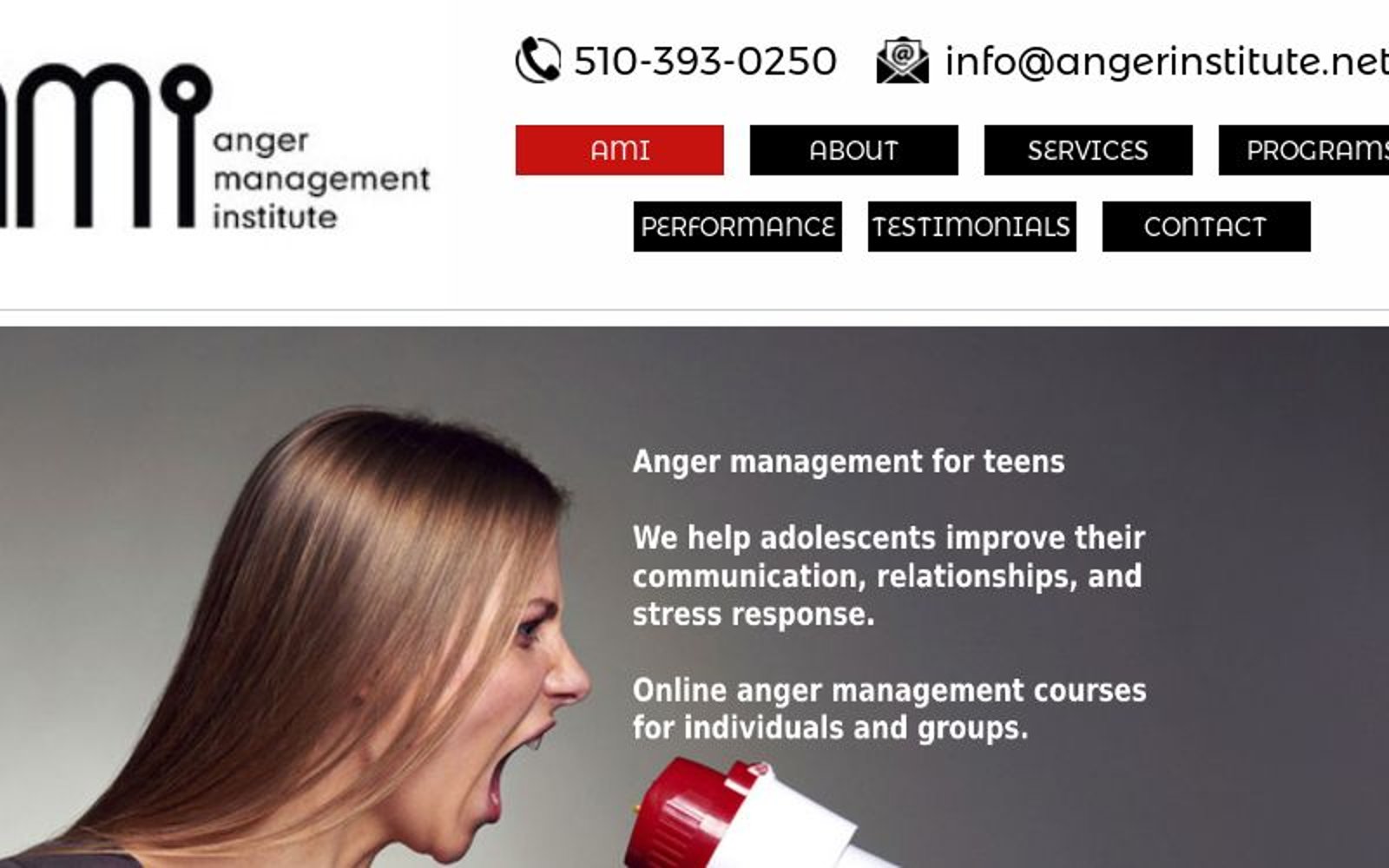 angerinstitute.net