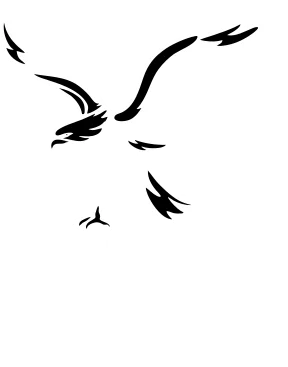 Aigle Noir