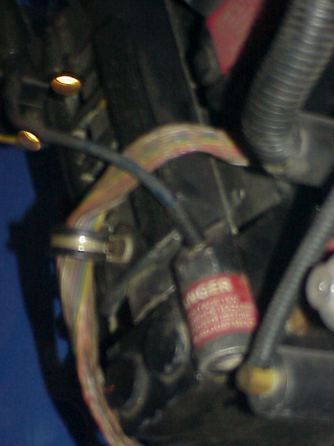 Minnesota  Planet Hollywood Set 2 Picture 66