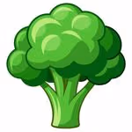 broccoli's avatar