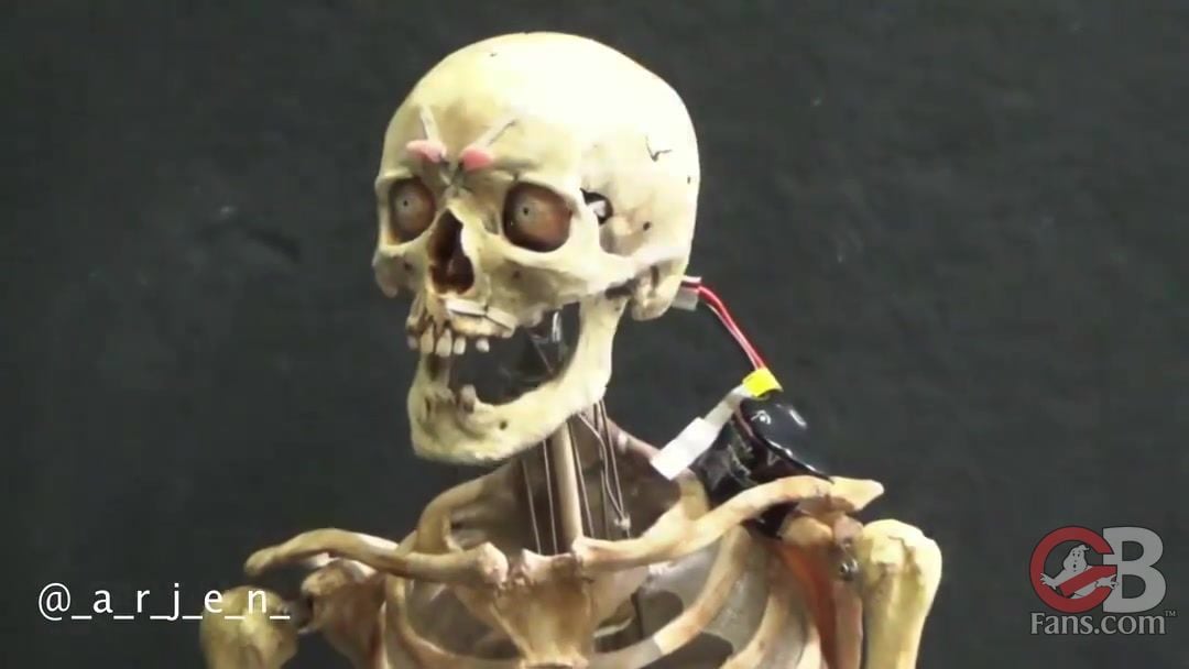 262369858 425618479021556 9154071251001242669 n 0493