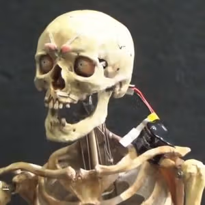262369858 425618479021556 9154071251001242669 n 0493