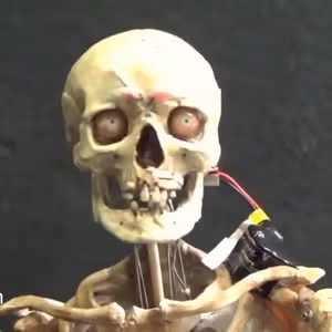 262369858 425618479021556 9154071251001242669 n 0529