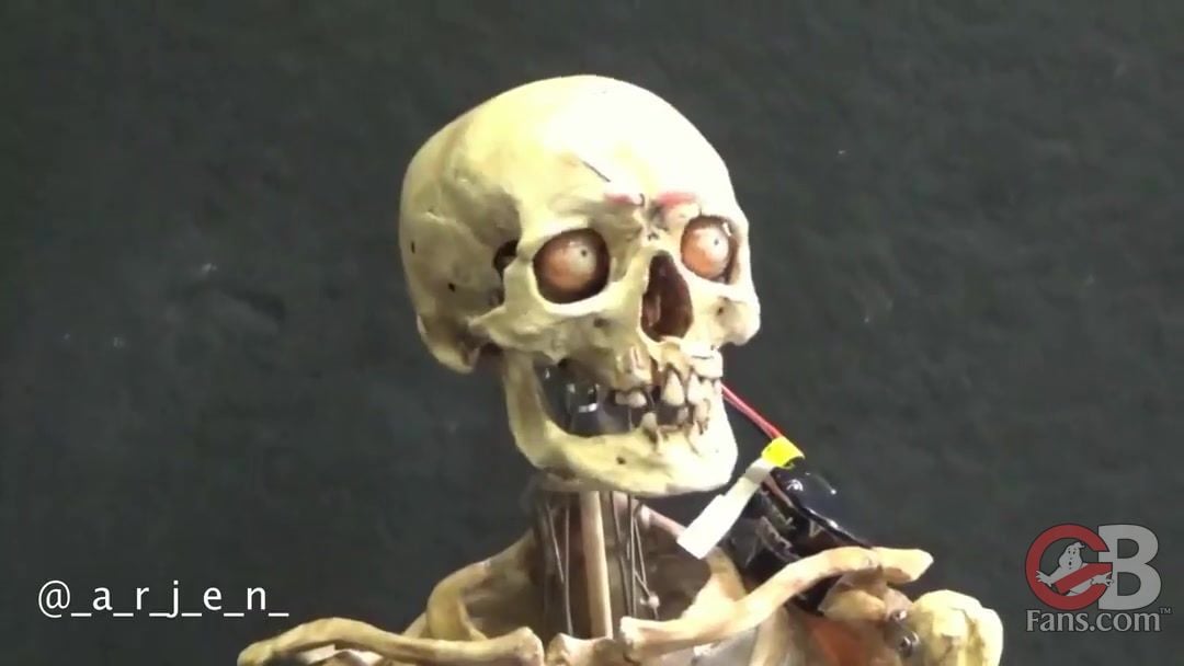 262369858 425618479021556 9154071251001242669 n 0547