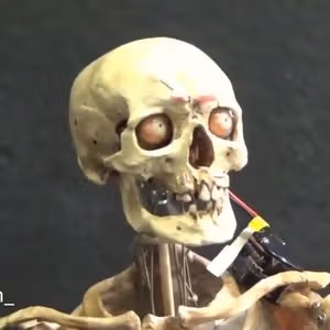 262369858 425618479021556 9154071251001242669 n 0547