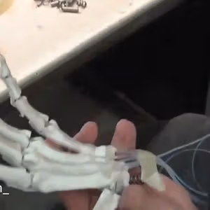 262369858 425618479021556 9154071251001242669 n 1141