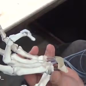 262369858 425618479021556 9154071251001242669 n 1161
