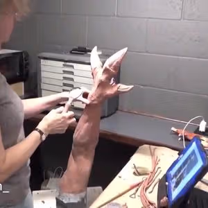 262369858 425618479021556 9154071251001242669 n 1559
