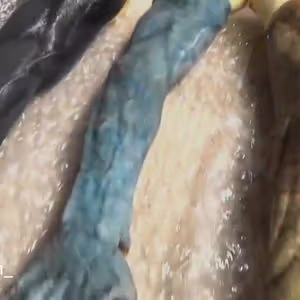 262369858 425618479021556 9154071251001242669 n 1620