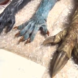 262369858 425618479021556 9154071251001242669 n 1674