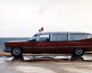 Related image: bcbc46ea