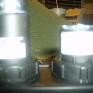 Ecto Goggles