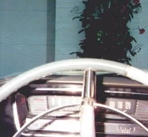 Ectomobile