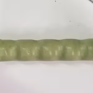 276003200 1141503973346163 8619848893762703771 n