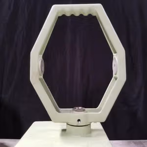 276067610 1141502656679628 5768783647628397318 n
